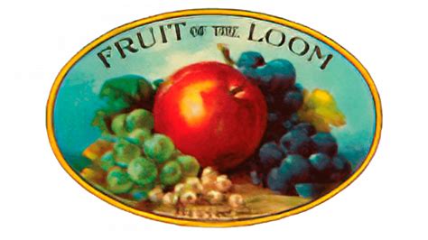 this is versace not fruit of the loom|fruit of the loom meaning.